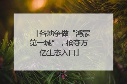 各地争做“鸿蒙第一城”，抢夺万亿生态入口