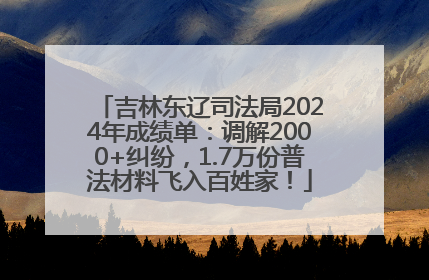 吉林东辽司法局2024年成绩单：调解2000+纠纷，1.7万份普法材料飞入百姓家！