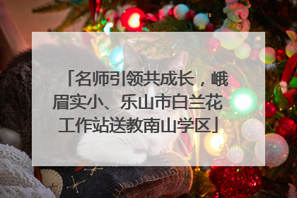 名师引领共成长，峨眉实小、乐山市白兰花工作站送教南山学区