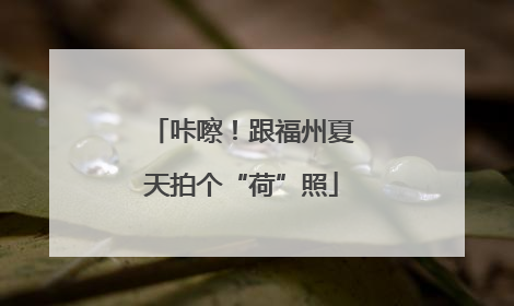 咔嚓！跟福州夏天拍个“荷”照