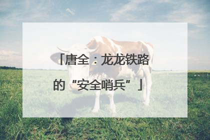 唐全：龙龙铁路的“安全哨兵”