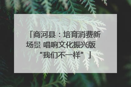 商河县：培育消费新场景 唱响文化振兴版“我们不一样”