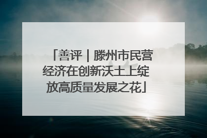 善评｜滕州市民营经济在创新沃土上绽放高质量发展之花