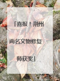 喜报！荆州两名文物修复师获奖