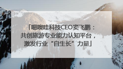 嗯噢哇科技CEO窦飞鹏：共创旅游专业能力认知平台，激发行业“自生长”力量