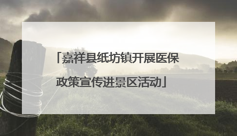 嘉祥县纸坊镇开展医保政策宣传进景区活动