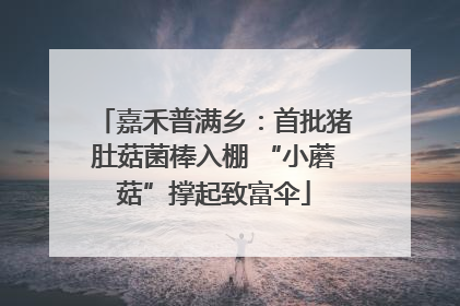 嘉禾普满乡：首批猪肚菇菌棒入棚 “小蘑菇”撑起致富伞