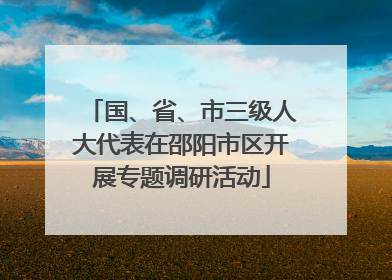 国、省、市三级人大代表在邵阳市区开展专题调研活动