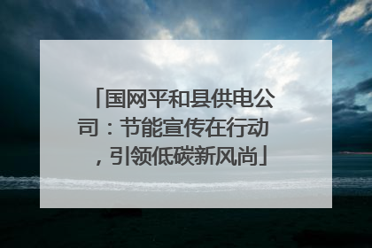 国网平和县供电公司：节能宣传在行动，引领低碳新风尚