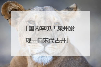 国内罕见！泉州发现一口宋代古井