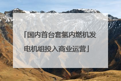 国内首台套氢内燃机发电机组投入商业运营