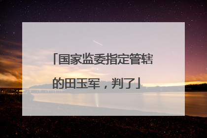 国家监委指定管辖的田玉军，判了