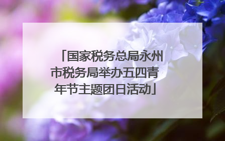 国家税务总局永州市税务局举办五四青年节主题团日活动
