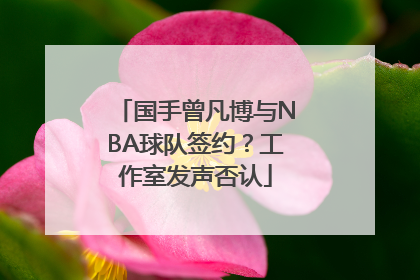 国手曾凡博与NBA球队签约？工作室发声否认