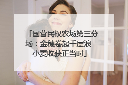国营民权农场第三分场：金穗卷起千层浪 小麦收获正当时