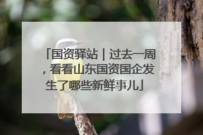 国资驿站｜过去一周，看看山东国资国企发生了哪些新鲜事儿