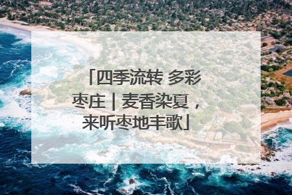 四季流转 多彩枣庄｜麦香染夏，来听枣地丰歌