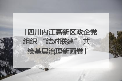 四川内江高新区政企党组织 “结对联建” 共绘基层治理新画卷