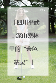 四川平武：深山密林里的“金色精灵”