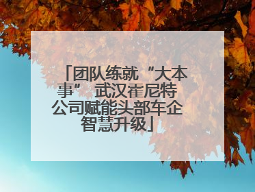 团队练就“大本事” 武汉霍尼特公司赋能头部车企智慧升级