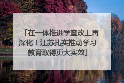 在一体推进学查改上再深化！江苏扎实推动学习教育取得更大实效
