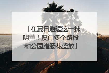 在夏日邂逅这一抹明黄！厦门多个路段和公园腊肠花盛放