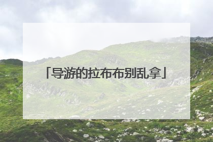 导游的拉布布别乱拿