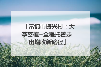 富锦市振兴村：大垄密植+全程托管走出增收新路径