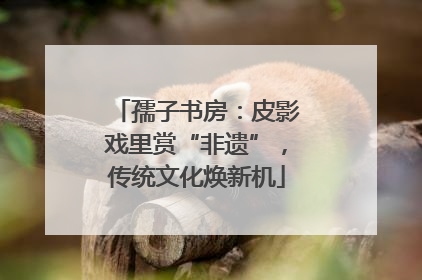 孺子书房：皮影戏里赏“非遗”，传统文化焕新机