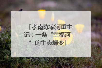 孝南陈家河重生记：一条“幸福河”的生态蝶变
