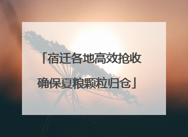 宿迁各地高效抢收 确保夏粮颗粒归仓