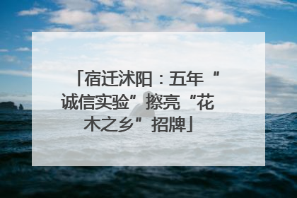 宿迁沭阳：五年“诚信实验”擦亮“花木之乡”招牌