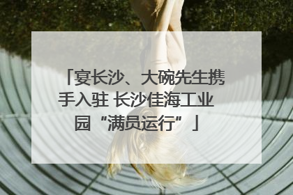 宴长沙、大碗先生携手入驻 长沙佳海工业园“满员运行”