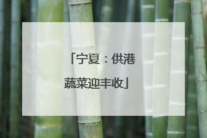 宁夏：供港蔬菜迎丰收