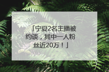 宁夏2名主播被约谈，其中一人粉丝近20万！