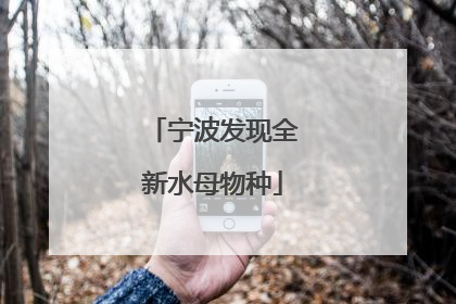 宁波发现全新水母物种