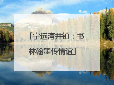 宁远湾井镇：书林翰墨传情谊
