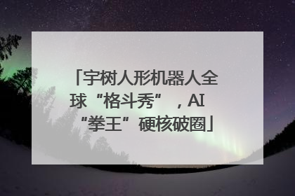 宇树人形机器人全球“格斗秀”，AI“拳王”硬核破圈