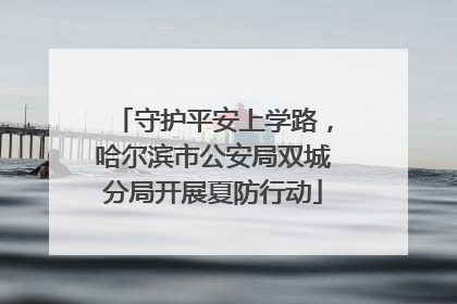 守护平安上学路，哈尔滨市公安局双城分局开展夏防行动