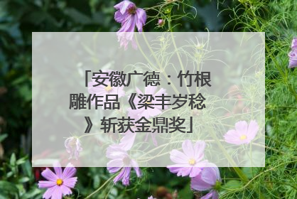 安徽广德：竹根雕作品《梁丰岁稔》斩获金鼎奖