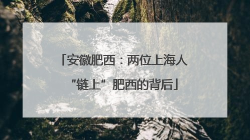 安徽肥西：两位上海人“链上”肥西的背后