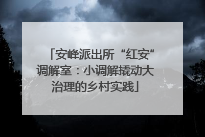 安峰派出所“红安”调解室：小调解撬动大治理的乡村实践
