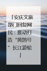 安庆文旅部门回复网民：推动打造“黄鹄号”长江游轮