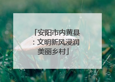 安阳市内黄县：文明新风浸润美丽乡村