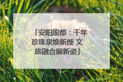 安阳殷都：千年珍珠泉焕新颜 文旅融合展新姿
