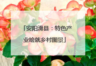 安阳滑县：特色产业绘就乡村图景