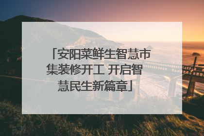 安阳菜鲜生智慧市集装修开工 开启智慧民生新篇章
