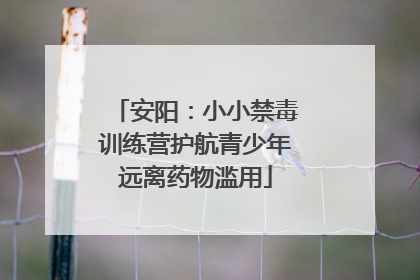 安阳：小小禁毒训练营护航青少年远离药物滥用