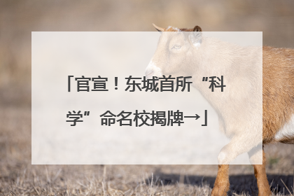 官宣！东城首所“科学”命名校揭牌→