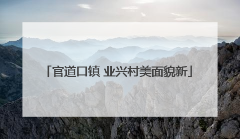 官道口镇 业兴村美面貌新